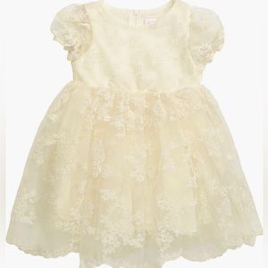 Popatu Toddler Girls Floral Embroidered Organza Fit & Flare Dress size 18M